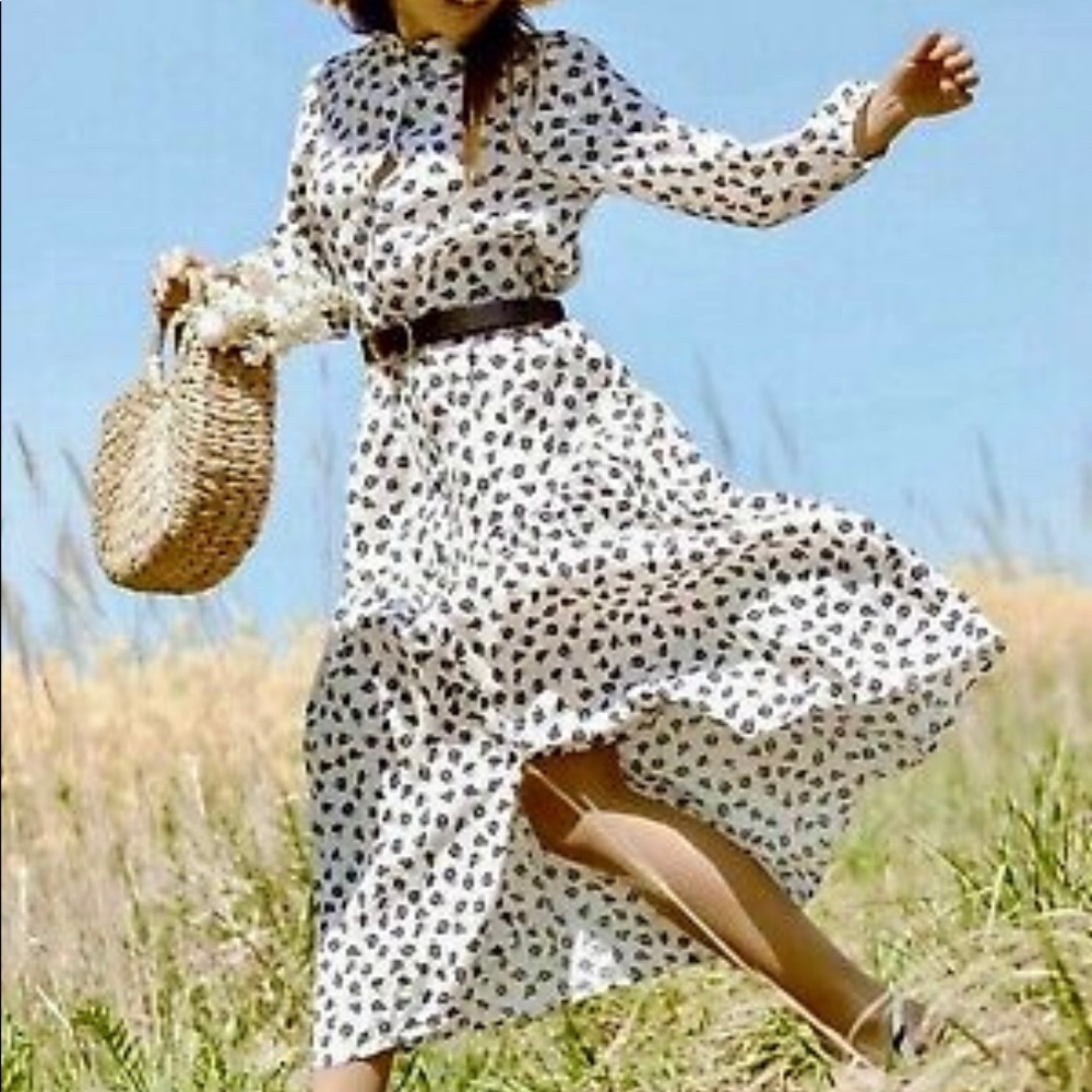 Zara Floral Print Midi Shirt Dress Size